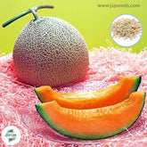 50 Rare Melon Seeds (Asia Fruit)